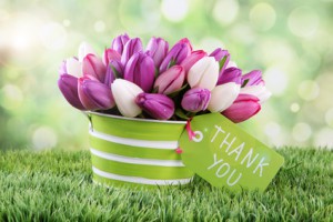 tulips with card
