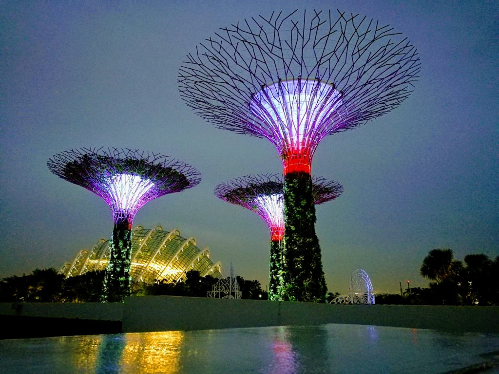 Steel Trees in Singapore